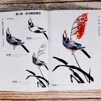 Kaligrafija Pagrindinis Technika Knyga Tradicinės Kinų Tapybos Kraštovaizdžio Gėlių, Paukščių Tapybos Meno Pradžia Pamoka Knygų