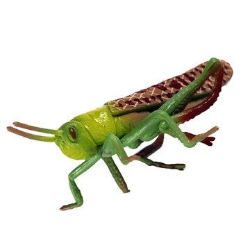 Vabzdžių Žiogas Miniatiūriniai Žaislai Figurinesfake Sodo Skulptūros Švietimo Gyvūnų Modelis Imituojamas Duomenys Papuošalai